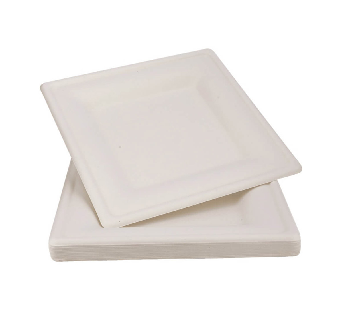 צלחת מתכלה ECO מרובעת גדולה 8.25 אינצ-20 יח